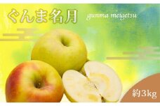 【2025年11月発送分先行受付】山形のりんご（ぐんま名月）約3kg_H209(R7)