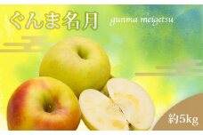 【2025年11月発送分先行受付】山形のりんご（ぐんま名月）約5kg_H208(R7)