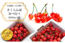 【2025年6月～7月発送分先行受付】【定期便2回】さくらんぼ約500g×2種_H176(R7)