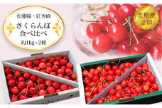 【2025年6月～7月発送分先行受付】【定期便2回】さくらんぼ約1kg×2種_H177(R7)