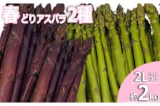 【2025年4月～5月発送】春どりアスパラ2種(2Lサイズ以上・合計約2kg）_H227(R7)