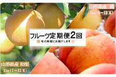 【2025年8月～9月発送】【定期便2回】山形旬の果物2選（桃/和梨）_H234(R7)