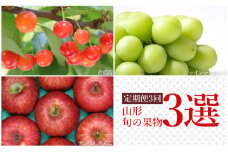 【2025年6月～12月発送】【定期便3回】山形旬の果物3選（佐藤錦/シャインマスカット/りんご）_H237(R7)