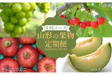 【2025年6月～12月発送】【定期便4回】山形旬の果物4選（佐藤錦/メロン/シャインマスカット/りんご）_H241(R7)