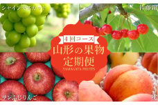 【2025年6月～12月発送】【定期便4回】山形旬の果物4選（佐藤錦/桃/シャインマスカット/りんご）_H240(R7)