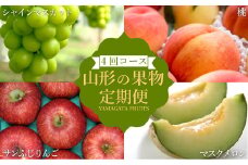 【2025年8月～12月発送】【定期便4回】山形旬の果物4選（メロン/桃/シャインマスカット/りんご）_H242(R7)