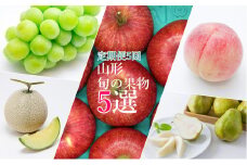【2025年8月～12月発送】【定期便5回】山形旬の果物5選（メロン/桃/シャインマスカット/ラ・フランス/りんご）_H244(R7)