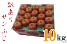 【2025年11月～12月発送】訳ありリンゴ（サンふじ）10kg（1箱2段詰）_H128(R7)