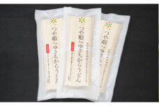 07-01-084　つや姫入りゆきちからうどん