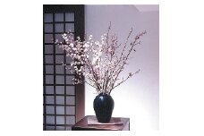 07-01-054　正月用啓翁桜