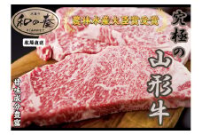 07-27-020　農林水産大臣賞受賞　特選天童牛"和の奏"サーロインステーキ500g