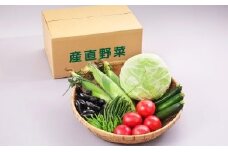 06A3010A　天童産・産直野菜の詰め合わせ(7月分)