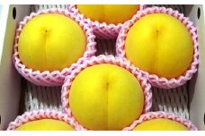 07-07-009　もも(金桃・きららのきわみ)2.5kg