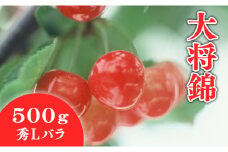 07-01-023　さくらんぼ(大将錦)500g