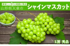 07-06-005　ぶどう(シャインマスカット)1房
