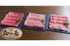 07-27-024　農林水産大臣賞受賞　特選天童牛"和の奏"すき焼き食べ比べ1.1kg