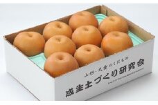07-05-010　和梨(南水)約2.5kg