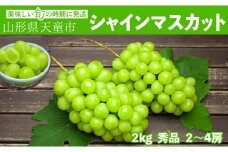 07-06-025　ぶどう(シャインマスカット)約2kg