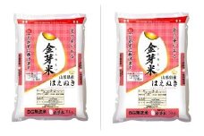 06V1002-2　金芽米はえぬき定期便(5kg×2袋)12回お届け【令和6年産】