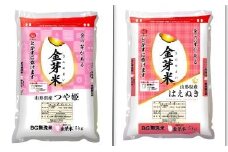 06S1001-2　金芽米つや姫・金芽米はえぬき定期便(5kg)12回お届け【令和6年産】