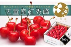 07-01-022　さくらんぼ(紅秀峰)500g