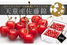 07-01-029　さくらんぼ(佐藤錦)1kg
