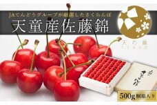 06H0004　さくらんぼ桐箱(佐藤錦)500g