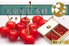 06H0020　さくらんぼ(紅秀峰プレミアム)1kg