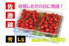 07-02-015　さくらんぼ(佐藤錦)700g