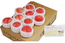 07-02-003　もも(川中島白桃)約4kg