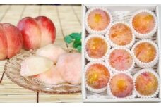 07-02-011　プラム(秋姫1.2kg)&白桃系桃2kgセット