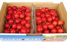 07-02-021　さくらんぼ(紅秀峰)1kg