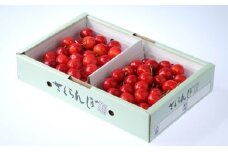 07-05-003　さくらんぼ(佐藤錦)600g
