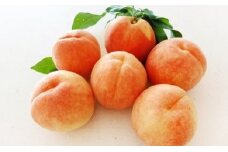 07-05-005　もも(黄金桃)2.5kg