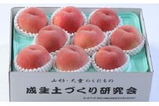07-05-009　もも(玉うさぎ)2.5kg