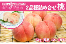 07-06-024　もも(2品種詰合せセット)大玉約5kg