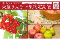 07-06-029　天童うんまい果物定期便(天プラン)全3回
