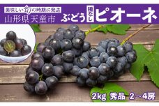 07-06-023　ぶどう(種なしピオーネ)約2kg