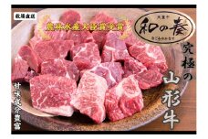 07-27-008　農林水産大臣賞受賞　特選天童牛"和の奏"煮込み用600g