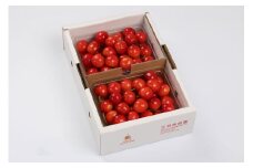 07-03-028　さくらんぼ(紅秀峰)1kg