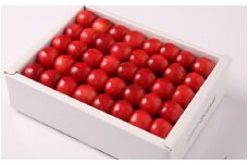 07-03-029　さくらんぼ(佐藤錦)手詰め化粧箱500g
