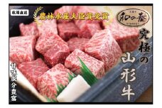 07-27-012 農林水産大臣賞受賞　特選天童牛"和の奏"角切りステーキ500g
