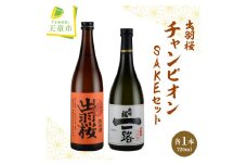 07-17-024　出羽桜(チャンピオンSAKE)セット