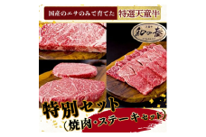 07-27-025　農林水産大臣賞受賞　特選天童牛"和の奏"特別セット(焼肉・ステーキセット)