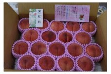 07-07-013　もも(白桃7.8月ご家庭用) 4kg~4.5kg