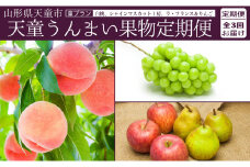 07-06-028　天童うんまい果物定期便(童プラン)全3回