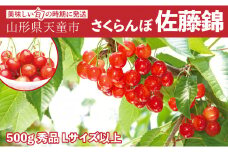 07-06-022　大玉さくらんぼ(佐藤錦)500g