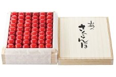 06T0002　新春超早出しさくらんぼ（佐藤錦・㈱ジェイエイてんどうフーズ）