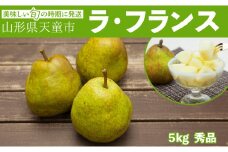 07-06-040　ラ・フランス5kg