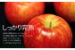 ※蜜入りを保障している品物ではございません